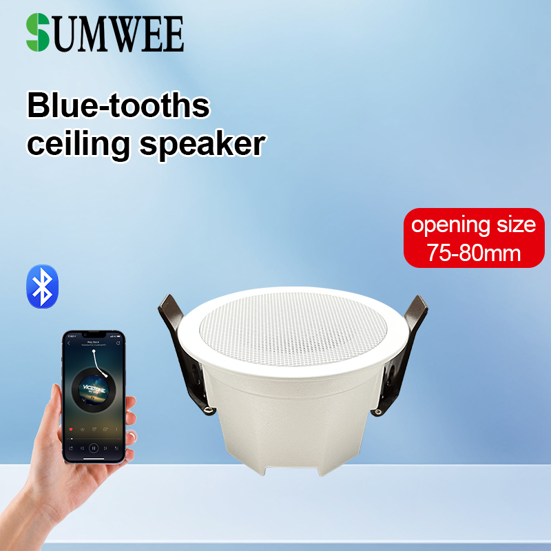 MINI Bluetooths Ceiling Speake - огляд і ціна Home Cinema Denon