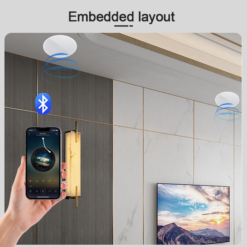 MINI Bluetooths Ceiling Speake - огляд і ціна Home Cinema Denon