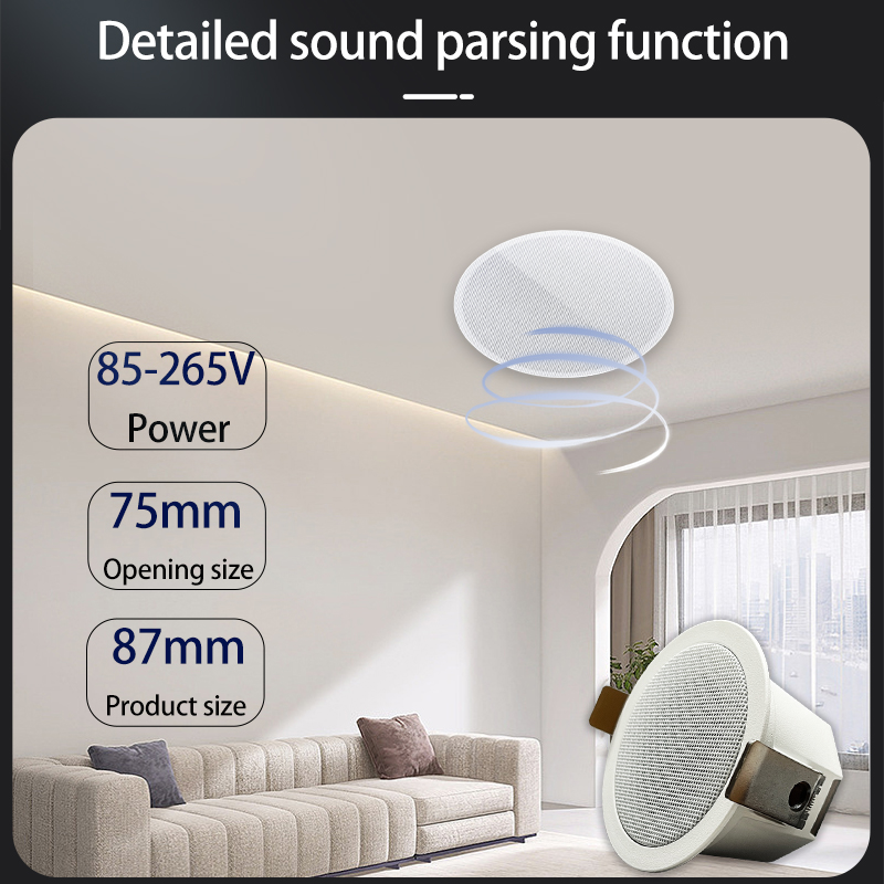 MINI Bluetooths Ceiling Speake - огляд і ціна Home Cinema Denon