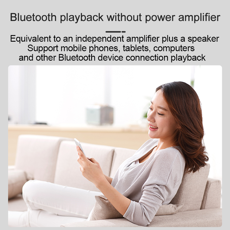 MINI Bluetooths Ceiling Speake - огляд і ціна Home Cinema Denon