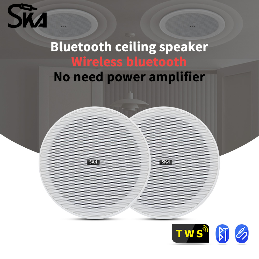 Ceiling Bluetooth Speaker 6inc - огляд і ціна Home Cinema Denon