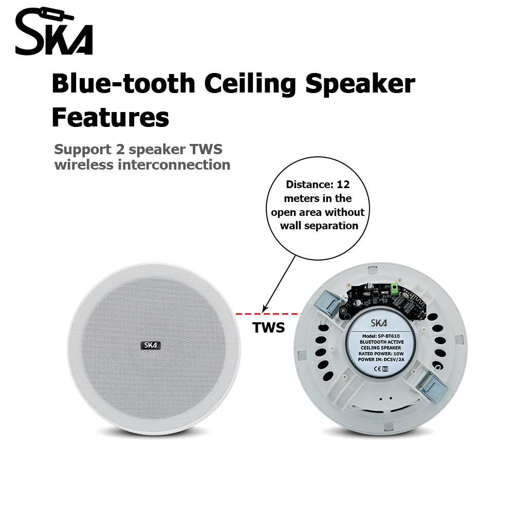 Ceiling Bluetooth Speaker 6inc - огляд і ціна Home Cinema Denon