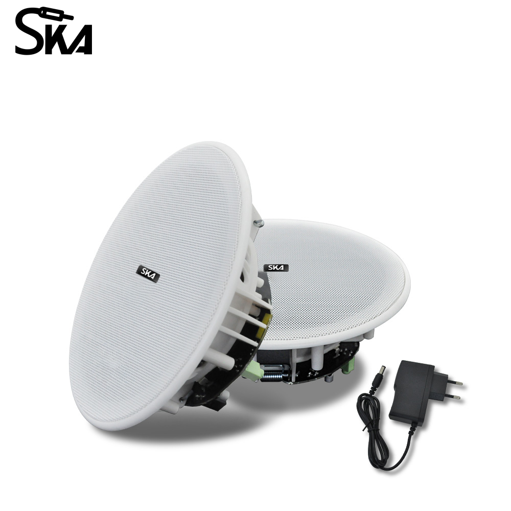 Ceiling Bluetooth Speaker 6inc - огляд і ціна Home Cinema Denon